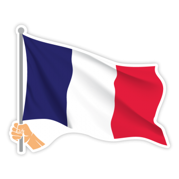 Vlajka FR